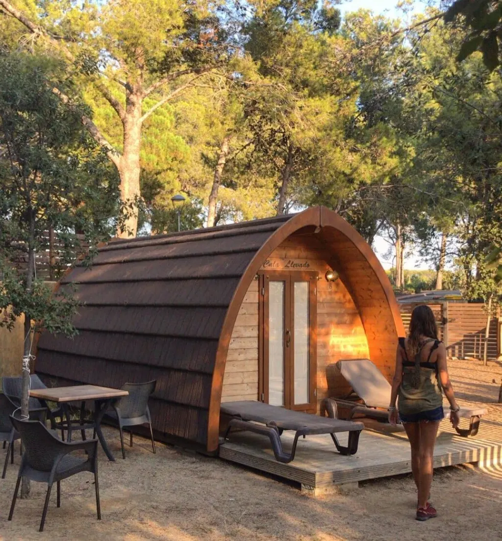 chalet dans la pinède